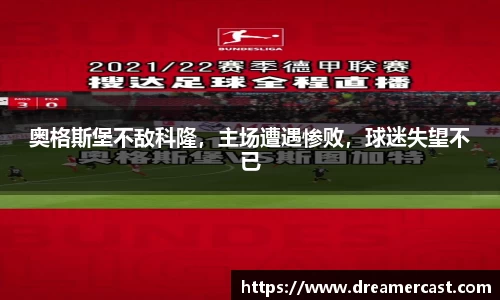 bsports官网入口