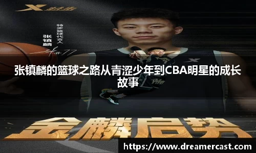 bsports官网入口