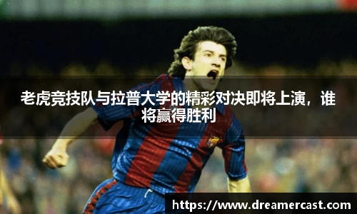 bsports官网入口