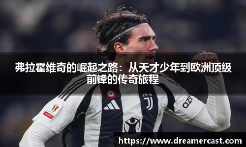 B体育bsports