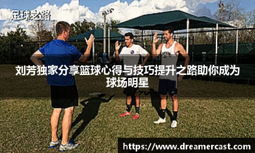 bsports官网入口